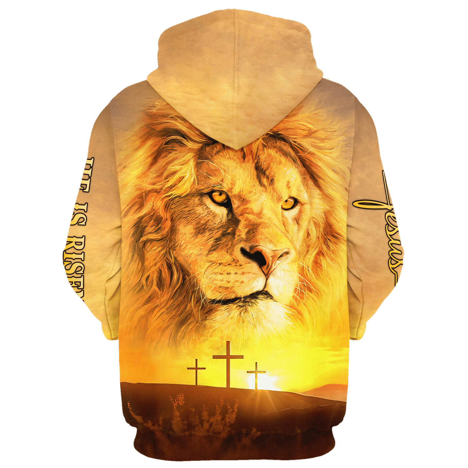 16606538628be86f6722.png
